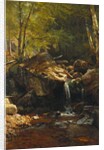 Thompson Cascade, White Mountains by Albert Bierstadt