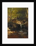 Thompson Cascade, White Mountains by Albert Bierstadt