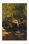 Thompson Cascade, White Mountains by Albert Bierstadt