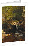 Thompson Cascade, White Mountains by Albert Bierstadt