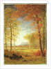 Autumn in America, Oneida County, New York by Albert Bierstadt
