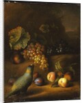 A Parrot with Grapes, Peaches and Plums in a Landscape by Tobias Stranover