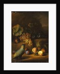 A Parrot with Grapes, Peaches and Plums in a Landscape by Tobias Stranover