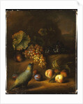 A Parrot with Grapes, Peaches and Plums in a Landscape by Tobias Stranover