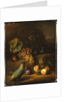 A Parrot with Grapes, Peaches and Plums in a Landscape by Tobias Stranover