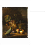 A Parrot with Grapes, Peaches and Plums in a Landscape by Tobias Stranover