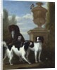 Three Spaniels by an Urn in a Wooded Landscape by John Wootton