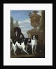 Three Spaniels by an Urn in a Wooded Landscape by John Wootton
