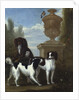 Three Spaniels by an Urn in a Wooded Landscape by John Wootton