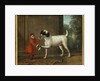 A Monkey wearing Crimson Livery dancing with a Poodle on the Terrace of a Country House by John Wootton
