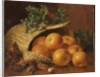 Still Life with Apples, Hazelnuts and Holly, 1898 by Eloise Harriet Stannard