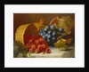 Still Life with Raspberries and a Bunch of Grapes on a Marble Ledge, 1882 by Eloise Harriet Stannard