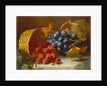 Still Life with Raspberries and a Bunch of Grapes on a Marble Ledge, 1882 by Eloise Harriet Stannard