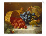 Still Life with Raspberries and a Bunch of Grapes on a Marble Ledge, 1882 by Eloise Harriet Stannard