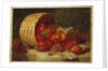 Strawberries in a Wicker Basket on a Ledge, 1895 by Eloise Harriet Stannard