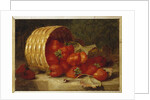 Strawberries in a Wicker Basket on a Ledge, 1895 by Eloise Harriet Stannard