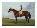 Mrs S. Wrather's 'Nutwith', with J. Marson Up, 1843 by Harry Hall