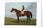 Mrs S. Wrather's 'Nutwith', with J. Marson Up, 1843 by Harry Hall