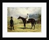 A Gentleman by his Racehorse with Jockey Up on a Racecourse, 1863 by Harry Hall