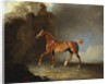 A Golden Chestnut Racehorse by a Rock Formation, 1800 by Benjamin Marshall