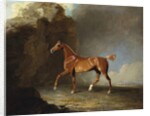 A Golden Chestnut Racehorse by a Rock Formation, 1800 by Benjamin Marshall