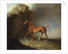 A Golden Chestnut Racehorse by a Rock Formation, 1800 by Benjamin Marshall