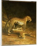 Two Leopards lying in the Exeter Exchange, 1808 by Jacques-Laurent Agasse
