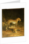 Two Leopards lying in the Exeter Exchange, 1808 by Jacques-Laurent Agasse
