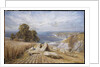 Harvesting on the South Coast, 1869 by Edmund George Warren