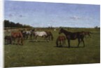 Mares and Foals, 1917 by Georg Koch