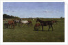 Mares and Foals, 1917 by Georg Koch