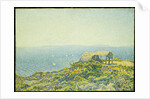 L'Ile du Levant, vu du Cap Benat, 1893 by Theo van Rysselberghe