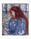 Woman Reading, 1899 by Theo van Rysselberghe