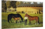 The Training Track on the Fairgrounds, 1887 by Henry H. Cross