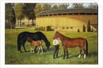 The Training Track on the Fairgrounds, 1887 by Henry H. Cross