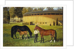 The Training Track on the Fairgrounds, 1887 by Henry H. Cross