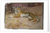 The Tiger by John Charles Dollman