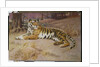 The Tiger by John Charles Dollman