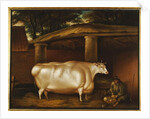 The White Heifer that Travelled, with a man slicing turnips in a stable yard, 1811 by Thomas Weaver
