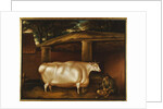 The White Heifer that Travelled, with a man slicing turnips in a stable yard, 1811 by Thomas Weaver