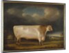Comet, a light roan short-horn bull in a landscape, 1811 by Thomas Weaver