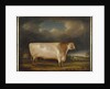 Comet, a light roan short-horn bull in a landscape, 1811 by Thomas Weaver