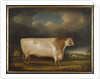 Comet, a light roan short-horn bull in a landscape, 1811 by Thomas Weaver