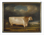 Comet, a light roan short-horn bull in a landscape, 1811 by Thomas Weaver