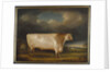 Comet, a light roan short-horn bull in a landscape, 1811 by Thomas Weaver