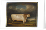 Comet, a light roan short-horn bull in a landscape, 1811 by Thomas Weaver