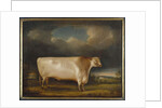 Comet, a light roan short-horn bull in a landscape, 1811 by Thomas Weaver