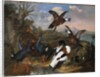 Shell Ducks and other Fowl in a Landscape, 1720 by Ferdinand Phillip de Hamilton