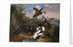 Shell Ducks and other Fowl in a Landscape, 1720 by Ferdinand Phillip de Hamilton