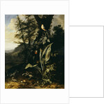 A Forest Floor with a Toad and a Lizard, a Bullfinch on a Branch of Ivy above, and a Mountain beyond by Matthias Withoos